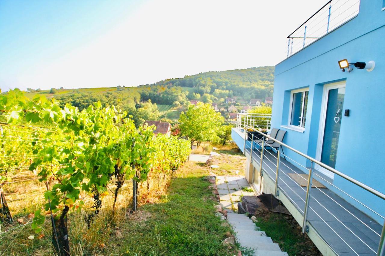 Janea Big Blue House Apartment Reichsfeld Bagian luar foto