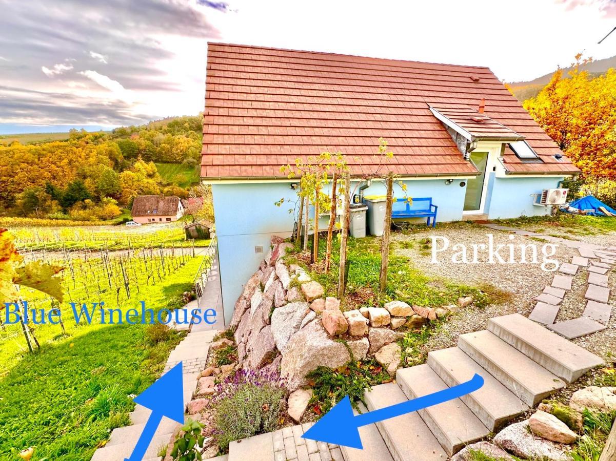 Janea Big Blue House Apartment Reichsfeld Bagian luar foto