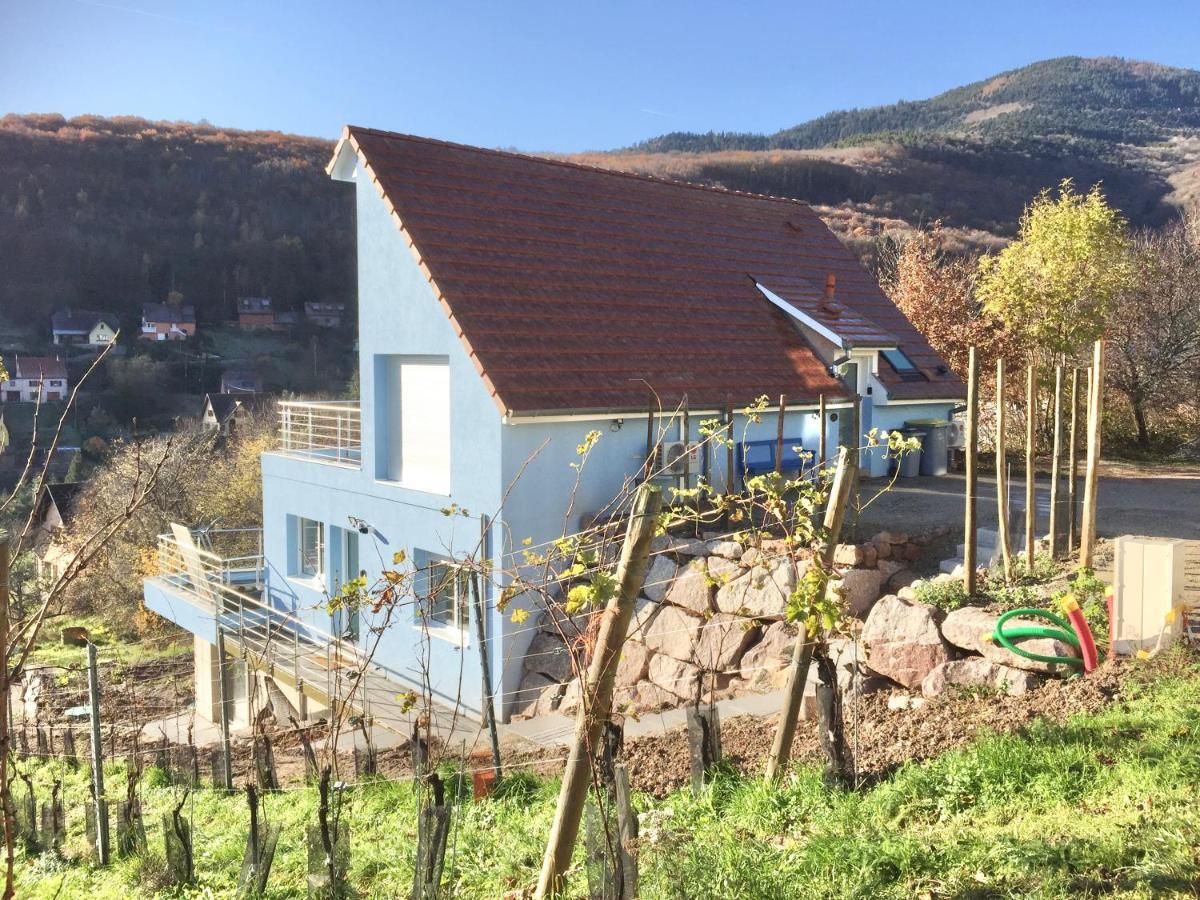 Janea Big Blue House Apartment Reichsfeld Bagian luar foto